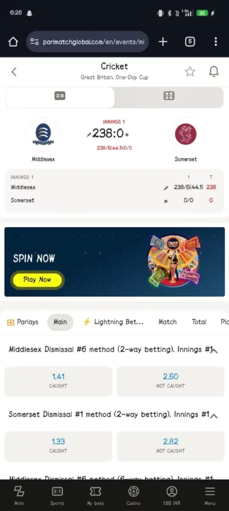 Cricket Betting