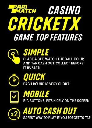 CricketX game features